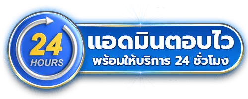 huaydung 100