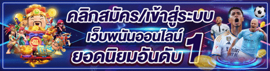 huaydung 100