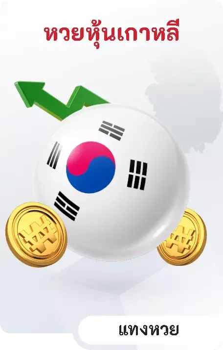 huaydung 100