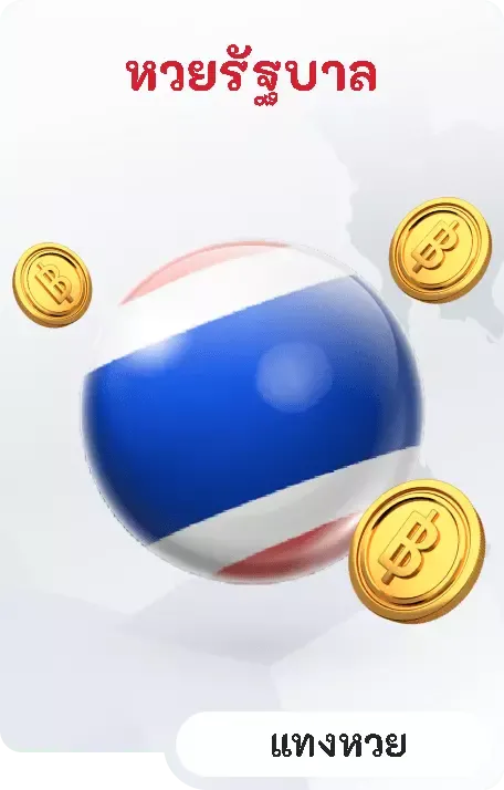 huaydung 100
